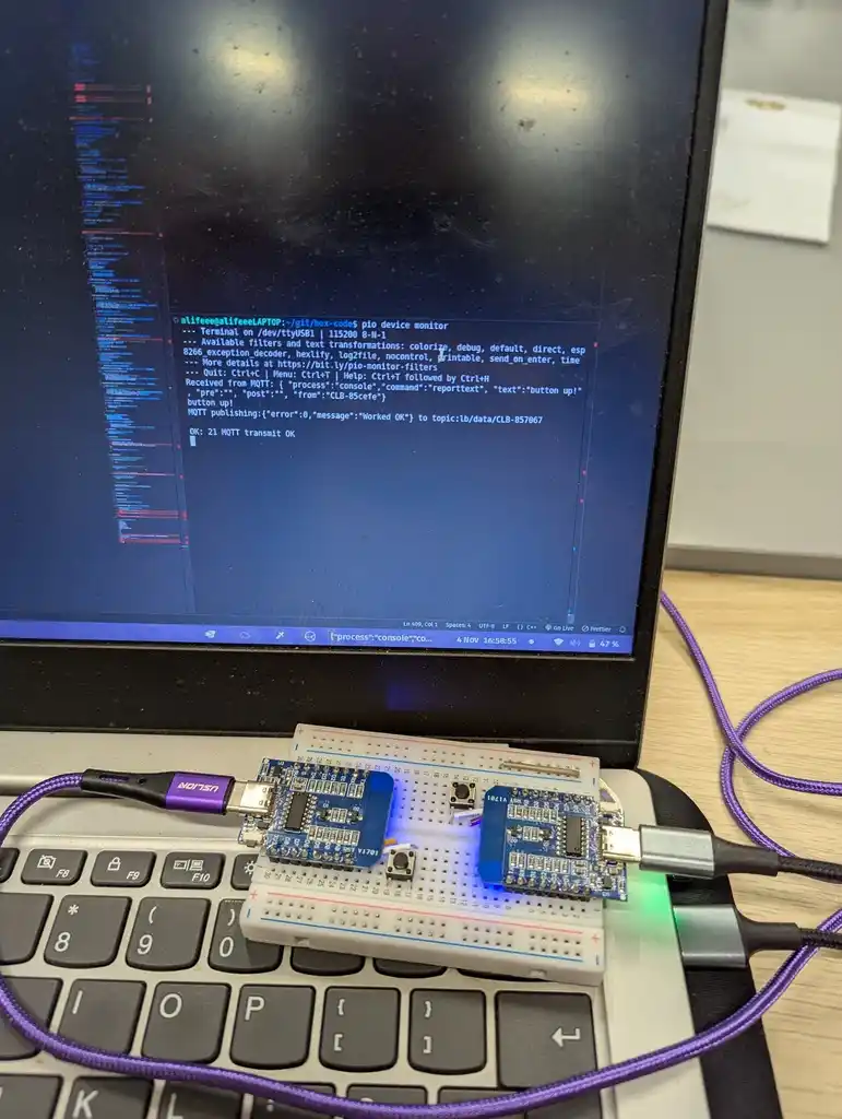 picture of computer reporting information about two microcontrollers