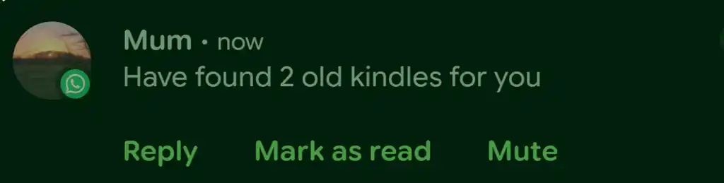 alifeee_kindles_2.webp